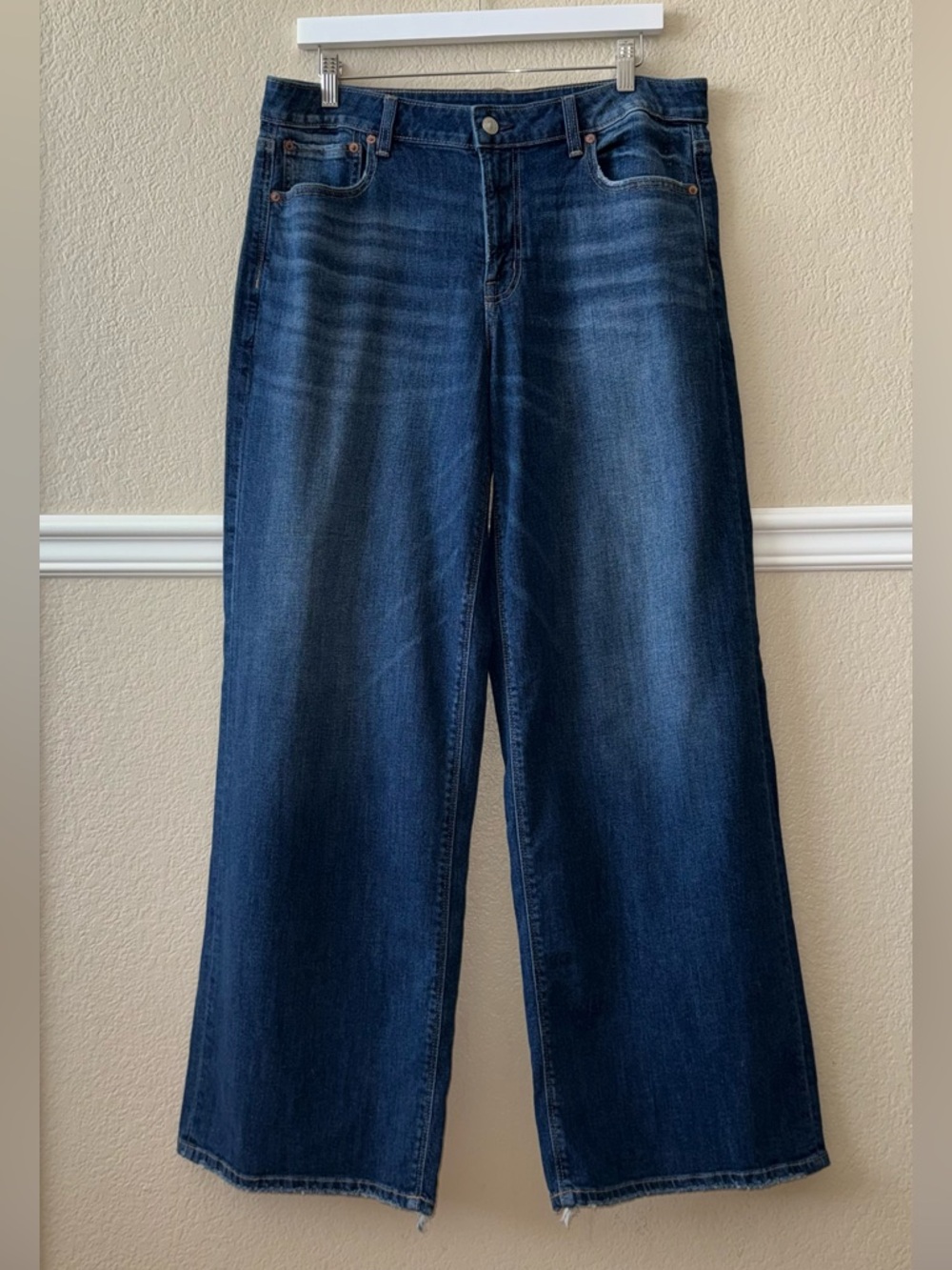 American Eagle Low Rise Baggy Wide Leg Jeans Cotton Lyocell Size 10 Long